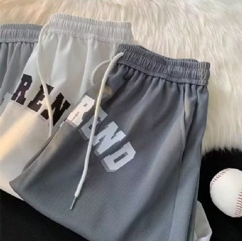 Screen-Printed Logo Moisture-Wicking Birdeye mesh fabric Sports Shorts